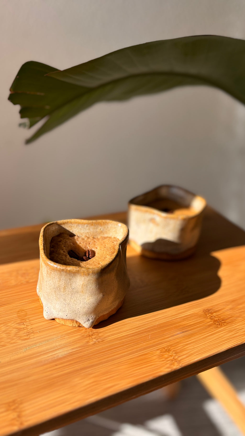 Sun Veil Cups in use